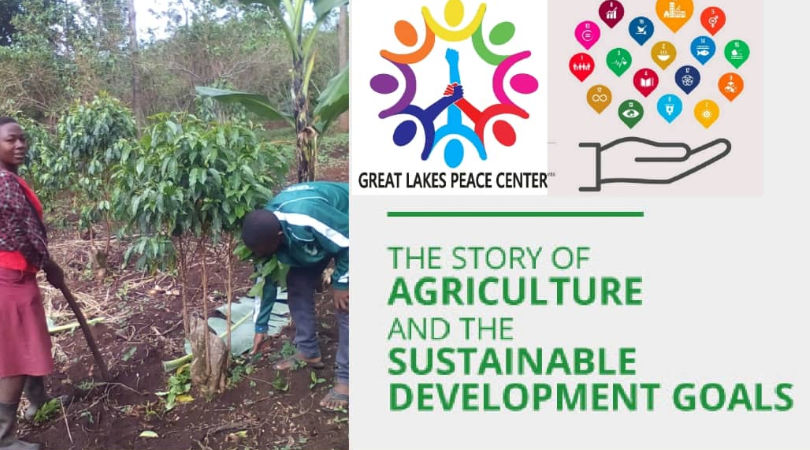 The story of agriculture and SDGs
